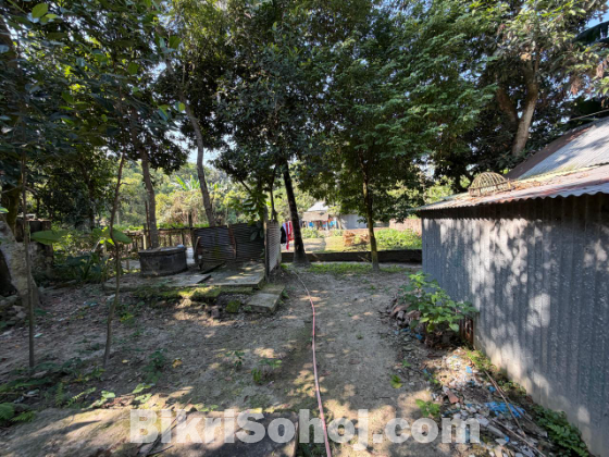 ১৩ শতক রেডি প্লট জমি